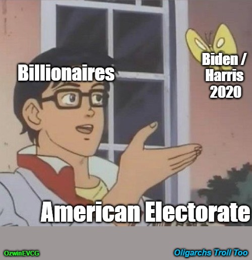 Oligarchs Troll Too [NV] | Oligarchs Troll Too; OzwinEVCG | image tagged in biden and harris,rigged elections,oligarchy,occupied america,trolling,is this butterfly | made w/ Imgflip meme maker