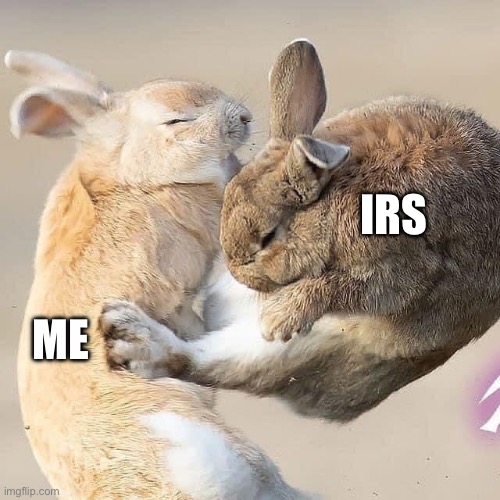 The IRS Bunny | IRS; ME | image tagged in taxes,tax,april,bunny,kung fu | made w/ Imgflip meme maker