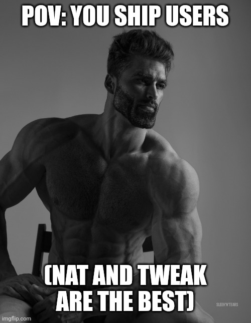 Giga Chad | POV: YOU SHIP USERS; (NAT AND TWEAK ARE THE BEST) | image tagged in giga chad | made w/ Imgflip meme maker