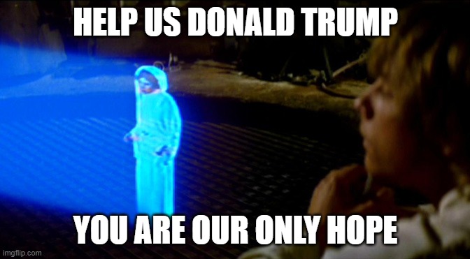 The Princess come 2024 | HELP US DONALD TRUMP; YOU ARE OUR ONLY HOPE | image tagged in donald trump,trump,fjb,star wars,princess leia,joe biden | made w/ Imgflip meme maker
