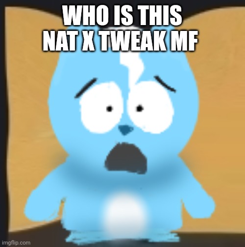 bro is in South Park | WHO IS THIS NAT X TWEAK MF | image tagged in bro is in south park | made w/ Imgflip meme maker
