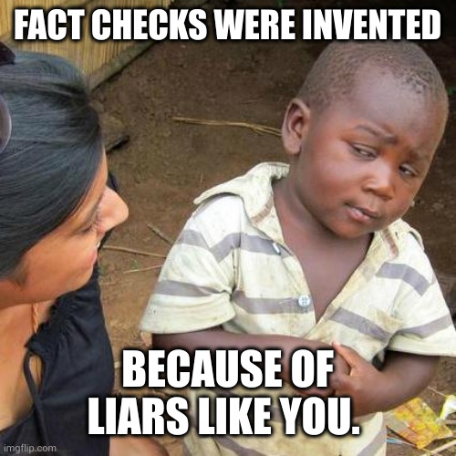 Fact check everyone | FACT CHECKS WERE INVENTED; BECAUSE OF LIARS LIKE YOU. | image tagged in memes,third world skeptical kid,fact check,skeptical,truth hurts,liars | made w/ Imgflip meme maker