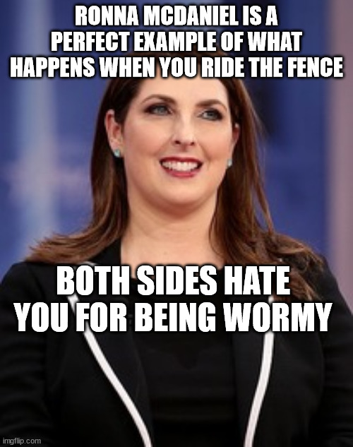 NOBODY RESPECTS WORMY | RONNA MCDANIEL IS A PERFECT EXAMPLE OF WHAT HAPPENS WHEN YOU RIDE THE FENCE; BOTH SIDES HATE YOU FOR BEING WORMY | image tagged in democrats,republicans,fences | made w/ Imgflip meme maker