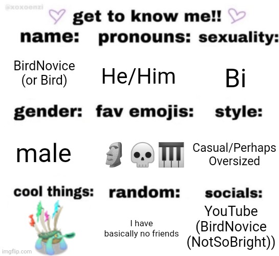 get to know me but better | BirdNovice (or Bird); He/Him; Bi; 🗿💀🎹; Casual/Perhaps Oversized; male; YouTube (BirdNovice (NotSoBright)); I have basically no friends | image tagged in get to know me but better | made w/ Imgflip meme maker