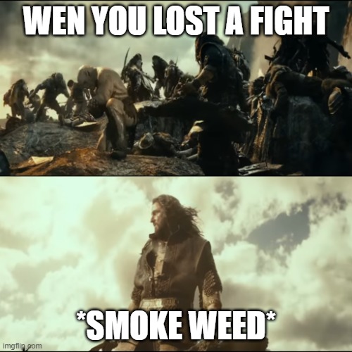 The Line of Durin | WEN YOU LOST A FIGHT; *SMOKE WEED* | image tagged in the line of durin | made w/ Imgflip meme maker