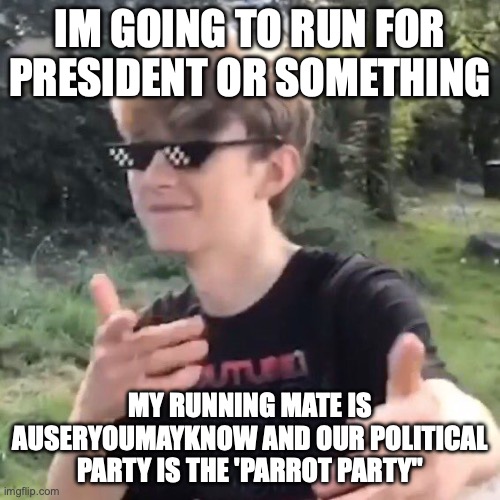 Tommyinnit | IM GOING TO RUN FOR PRESIDENT OR SOMETHING; MY RUNNING MATE IS AUSERYOUMAYKNOW AND OUR POLITICAL PARTY IS THE 'PARROT PARTY" | image tagged in tommyinnit | made w/ Imgflip meme maker