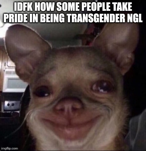 crying dog | IDFK HOW SOME PEOPLE TAKE PRIDE IN BEING TRANSGENDER NGL | image tagged in crying dog | made w/ Imgflip meme maker