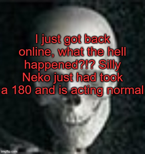 . | I just got back online, what the hell happened?!? Silly Neko just had took a 180 and is acting normal | image tagged in skull | made w/ Imgflip meme maker