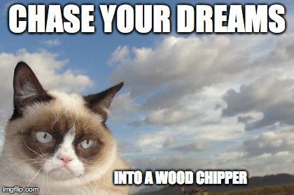 Grumpy Cat Sky Meme | image tagged in funny,grumpy cat | made w/ Imgflip meme maker