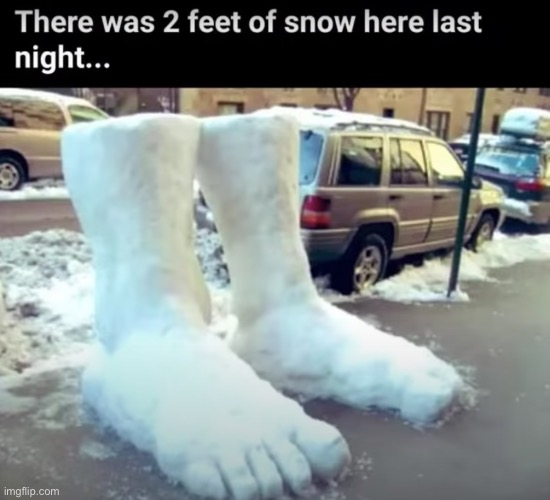 2 feet of snow | image tagged in why | made w/ Imgflip meme maker