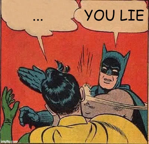 Batman Slapping Robin Meme | ... YOU LIE | image tagged in memes,batman slapping robin | made w/ Imgflip meme maker