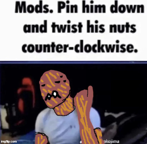 Mods pin him down but spider (by thespiderinthecorner) | image tagged in mods pin him down but spider by thespiderinthecorner | made w/ Imgflip meme maker