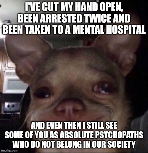 /srs | I'VE CUT MY HAND OPEN, BEEN ARRESTED TWICE AND BEEN TAKEN TO A MENTAL HOSPITAL; AND EVEN THEN I STILL SEE SOME OF YOU AS ABSOLUTE PSYCHOPATHS WHO DO NOT BELONG IN OUR SOCIETY | image tagged in crying dog | made w/ Imgflip meme maker