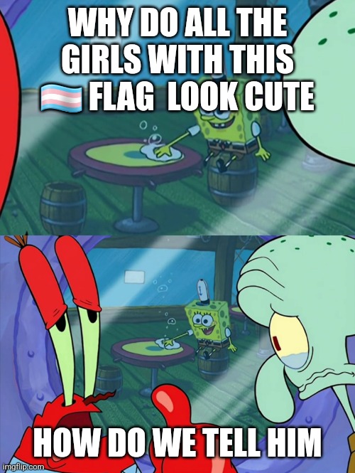 How Do We Tell Him? | WHY DO ALL THE GIRLS WITH THIS 🏳️‍⚧️ FLAG  LOOK CUTE; HOW DO WE TELL HIM | image tagged in how do we tell him | made w/ Imgflip meme maker