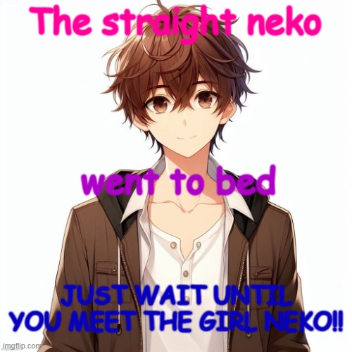 wqeretyrtuyuol | The straight neko; went to bed; JUST WAIT UNTIL YOU MEET THE GIRL NEKO!! | image tagged in silly_neko according to ai | made w/ Imgflip meme maker