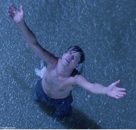 Shawshank redemption freedom | image tagged in shawshank redemption freedom | made w/ Imgflip meme maker
