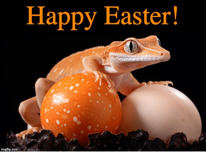 We wish you many delightful surprises! | Happy Easter! | image tagged in eggs,easter,cute,gecko | made w/ Imgflip meme maker