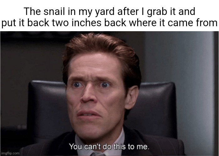 You can't do this to me | The snail in my yard after I grab it and put it back two inches back where it came from | image tagged in you can't do this to me | made w/ Imgflip meme maker