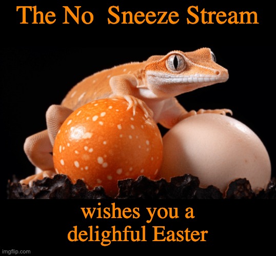 Why the nonsense about rabbits laying eggs? | The No  Sneeze Stream; wishes you a
delighful Easter | image tagged in gecko with eggs,easter,holidays,eggs,easter eggs | made w/ Imgflip meme maker