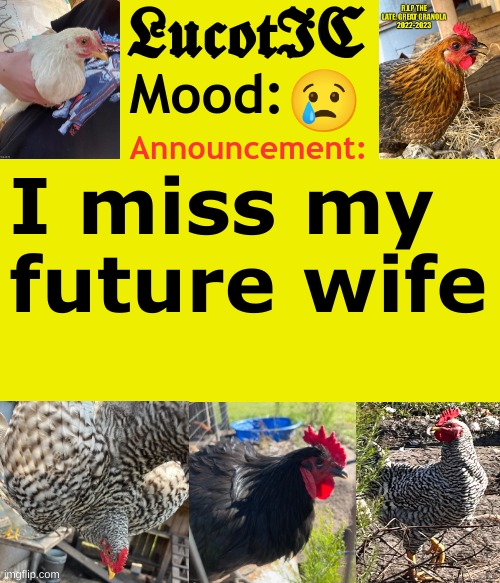 :( | 😢; I miss my future wife | image tagged in lucotic's cocks announcement template | made w/ Imgflip meme maker