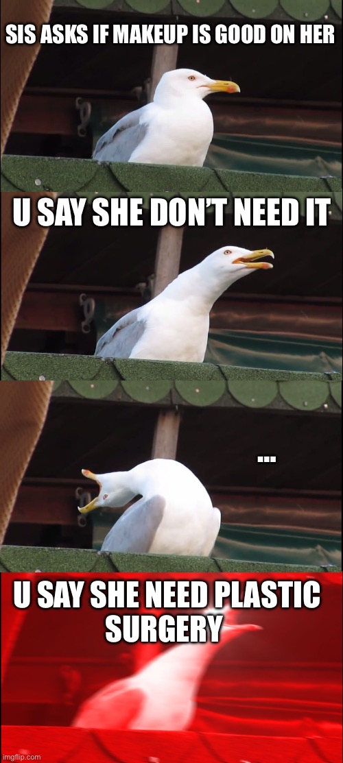 Inhaling Seagull | SIS ASKS IF MAKEUP IS GOOD ON HER; U SAY SHE DON’T NEED IT; …; U SAY SHE NEED PLASTIC
SURGERY | image tagged in memes,inhaling seagull | made w/ Imgflip meme maker