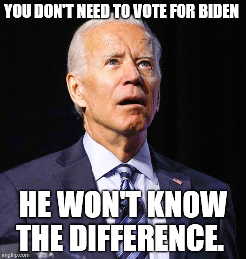 Joe Biden | YOU DON'T NEED TO VOTE FOR BIDEN; HE WON'T KNOW THE DIFFERENCE. | image tagged in joe biden | made w/ Imgflip meme maker