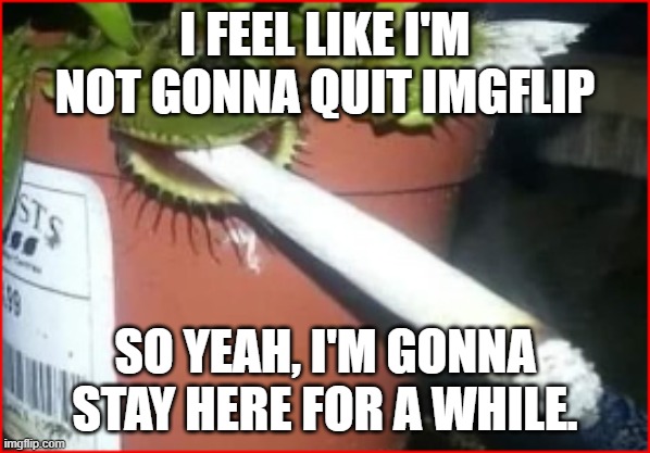A | I FEEL LIKE I'M NOT GONNA QUIT IMGFLIP; SO YEAH, I'M GONNA STAY HERE FOR A WHILE. | image tagged in image tags | made w/ Imgflip meme maker