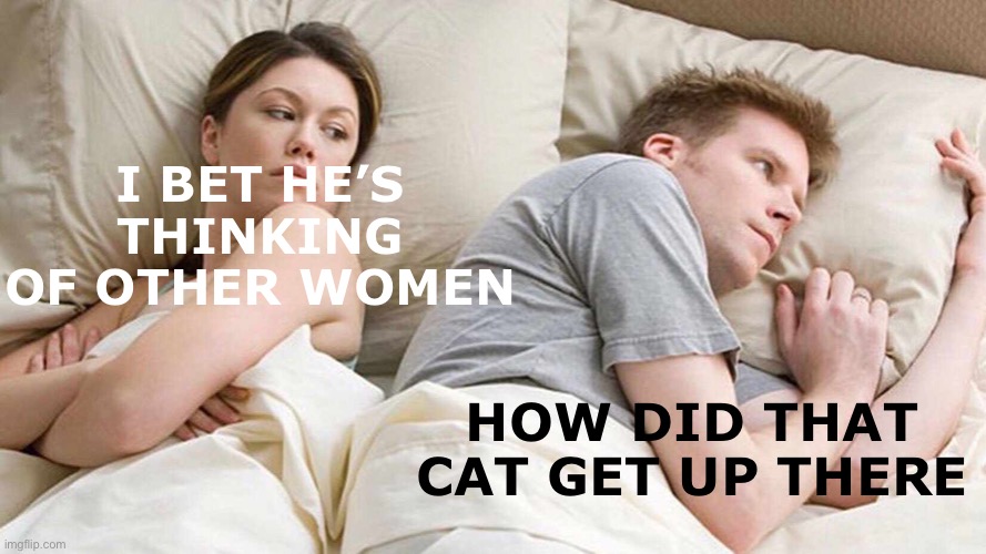 I Bet He's Thinking About Other Women Meme | I BET HE’S THINKING OF OTHER WOMEN HOW DID THAT CAT GET UP THERE | image tagged in memes,i bet he's thinking about other women | made w/ Imgflip meme maker