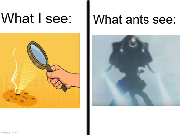 Us and ants don't see eye-to-eye here | What I see:; What ants see: | image tagged in blank white template | made w/ Imgflip meme maker