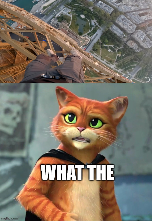 Puss in Boots, Lattice Climbing | WHAT THE | image tagged in the last wish,meme,lattice climbing,klettern,gato,climbing | made w/ Imgflip meme maker