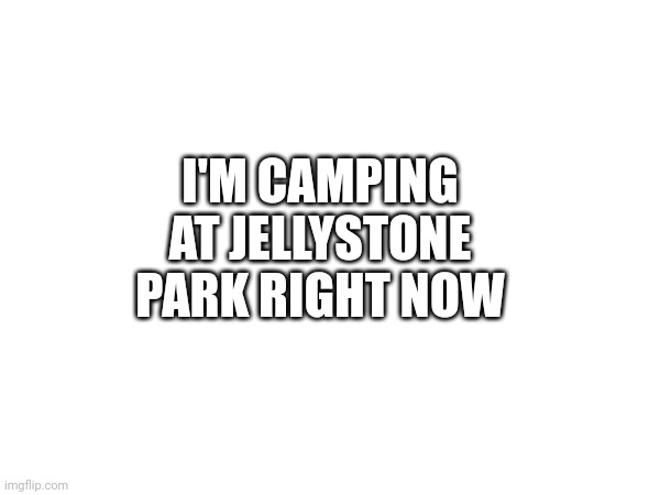 I'M CAMPING AT JELLYSTONE PARK RIGHT NOW | made w/ Imgflip meme maker