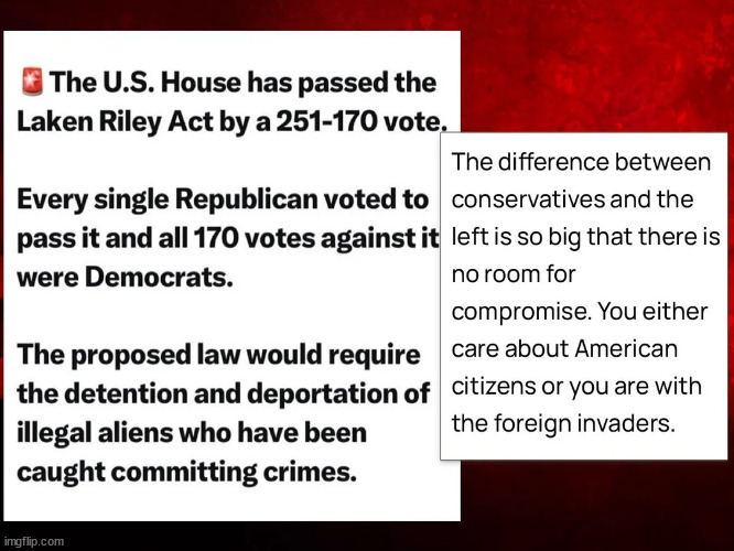 Coincidence... I think not | image tagged in democrats,ruining american,with illegal immigration | made w/ Imgflip meme maker