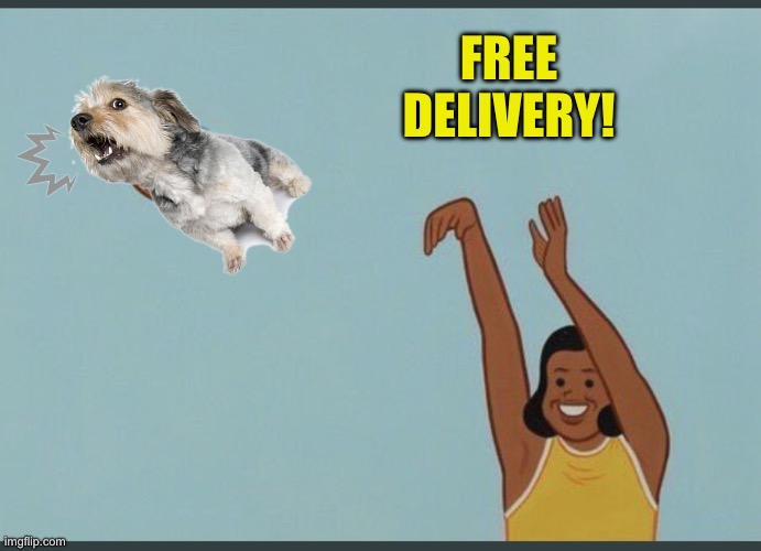 baby yeet | FREE DELIVERY! | image tagged in baby yeet | made w/ Imgflip meme maker