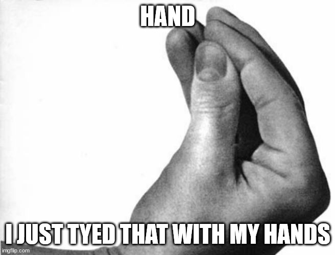 typed* | HAND; I JUST TYED THAT WITH MY HANDS | image tagged in italian hand | made w/ Imgflip meme maker