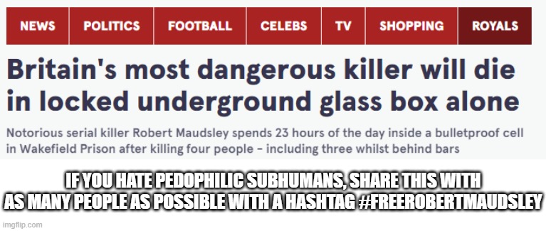 This guy did nothing wrong | IF YOU HATE PEDOPHILIC SUBHUMANS, SHARE THIS WITH AS MANY PEOPLE AS POSSIBLE WITH A HASHTAG #FREEROBERTMAUDSLEY | image tagged in freerobertmaudley,memes,mappride | made w/ Imgflip meme maker