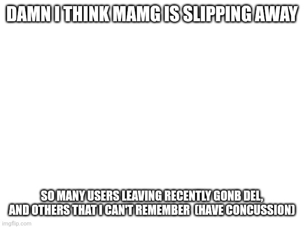 I think it's time we have to accept new users | DAMN I THINK MAMG IS SLIPPING AWAY; SO MANY USERS LEAVING RECENTLY GONB DEL, AND OTHERS THAT I CAN'T REMEMBER  (HAVE CONCUSSION) | made w/ Imgflip meme maker