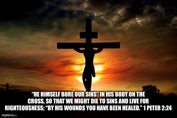 Jesus on the cross | “HE HIMSELF BORE OUR SINS” IN HIS BODY ON THE CROSS, SO THAT WE MIGHT DIE TO SINS AND LIVE FOR RIGHTEOUSNESS; “BY HIS WOUNDS YOU HAVE BEEN HEALED.” 1 PETER 2:24 | image tagged in jesus on the cross | made w/ Imgflip meme maker