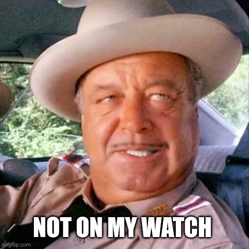Sheriff Buford T. Justice You Sum Bitch | NOT ON MY WATCH | image tagged in sheriff buford t justice you sum bitch | made w/ Imgflip meme maker