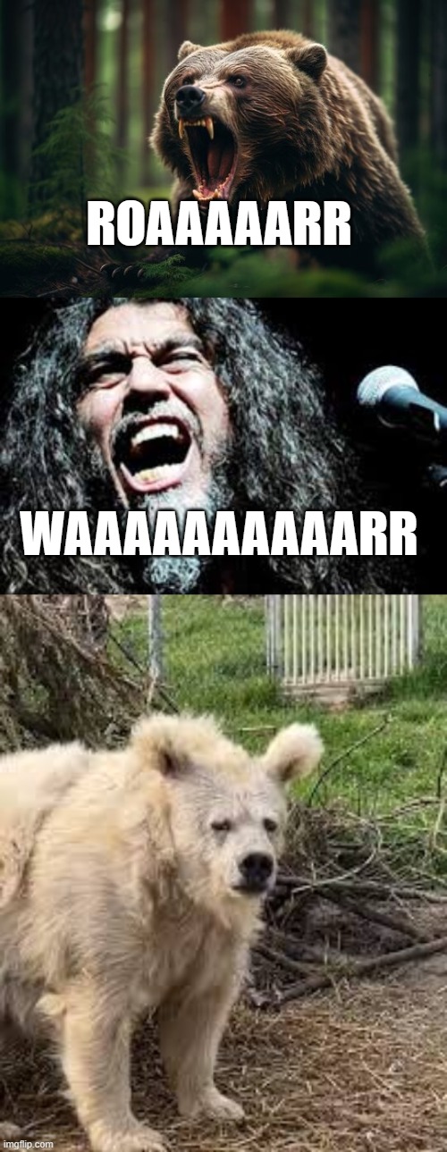 Bear vs. Tom Araya | ROAAAAARR; WAAAAAAAAAARR | image tagged in metal,slayer,thrash metal,screaming | made w/ Imgflip meme maker