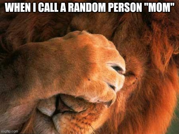 Embarrassed Lion | WHEN I CALL A RANDOM PERSON "MOM" | image tagged in embarrassed lion | made w/ Imgflip meme maker