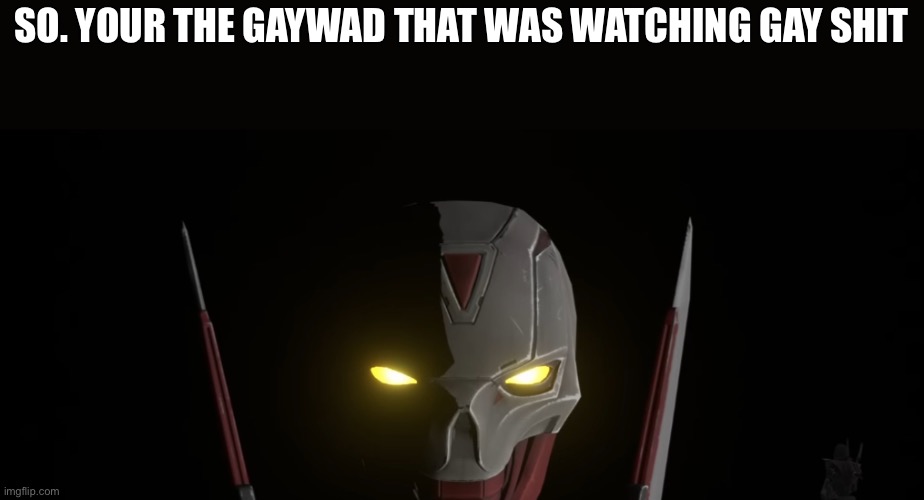 SO. YOUR THE GAYWAD THAT WAS WATCHING GAY SHIT | made w/ Imgflip meme maker