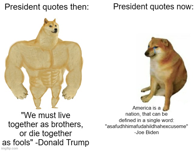 Presidential quotes then vs now | President quotes then:; President quotes now:; America is a nation, that can be defined in a single word: "asafudhhimafudahildhahexcuseme" -Joe Biden; "We must live together as brothers, or die together as fools" -Donald Trump | image tagged in memes,buff doge vs cheems,dank memes,presidents,quotes | made w/ Imgflip meme maker