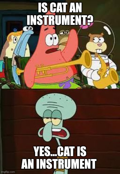 Is Mayonnaise An Instrument?  | IS CAT AN INSTRUMENT? YES...CAT IS AN INSTRUMENT | image tagged in is mayonnaise an instrument | made w/ Imgflip meme maker
