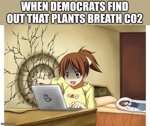 WHEN DEMOCRATS FIND OUT THAT PLANTS BREATH CO2 | image tagged in funny memes | made w/ Imgflip meme maker