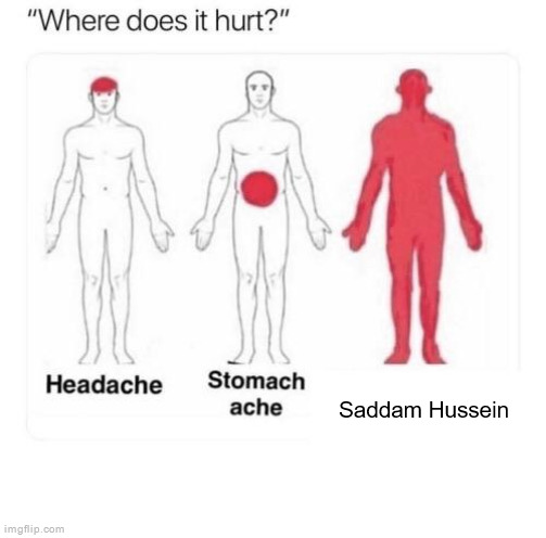 Where does it hurt | Saddam Hussein | image tagged in where does it hurt | made w/ Imgflip meme maker