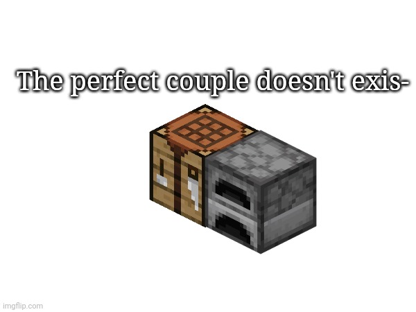 The perfect couple doesn't exis- | made w/ Imgflip meme maker
