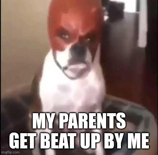 daredevil dog | MY PARENTS GET BEAT UP BY ME | image tagged in daredevil dog | made w/ Imgflip meme maker