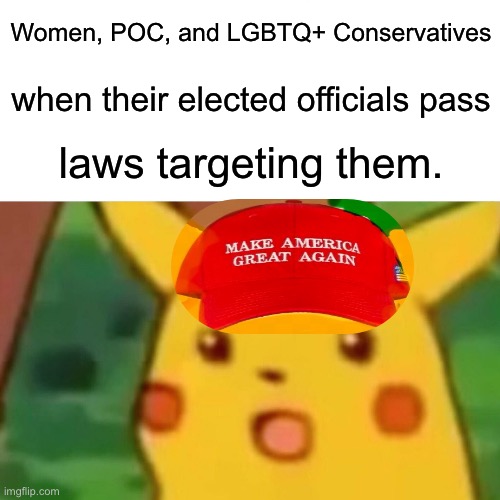 Surprised MAGA | Women, POC, and LGBTQ+ Conservatives; when their elected officials pass; laws targeting them. | image tagged in memes,surprised pikachu | made w/ Imgflip meme maker