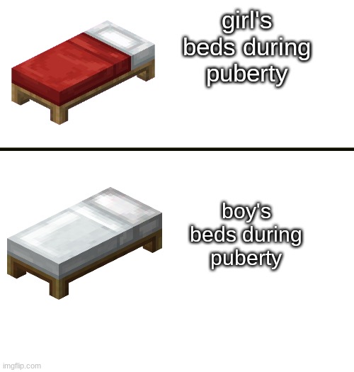 girl's beds during puberty; boy's beds during puberty | image tagged in memes,funny,minecraft,bed | made w/ Imgflip meme maker