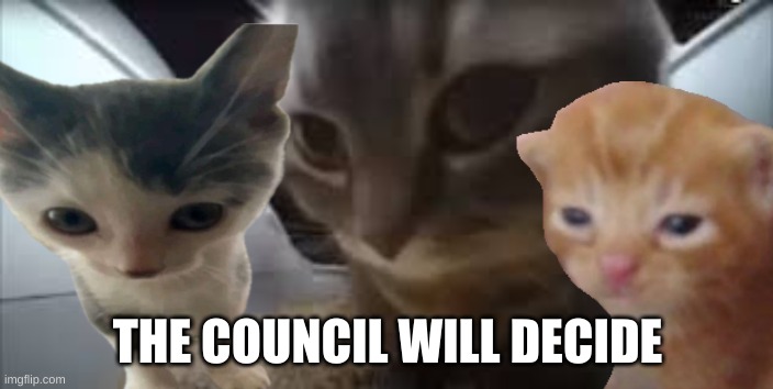 Dubidubidu Cat | THE COUNCIL WILL DECIDE | image tagged in dubidubidu cat | made w/ Imgflip meme maker